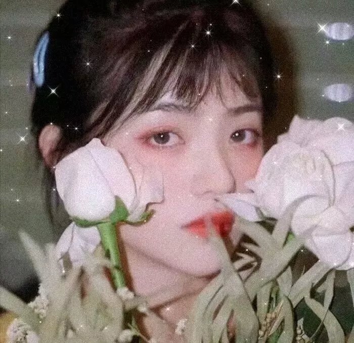 一本正经