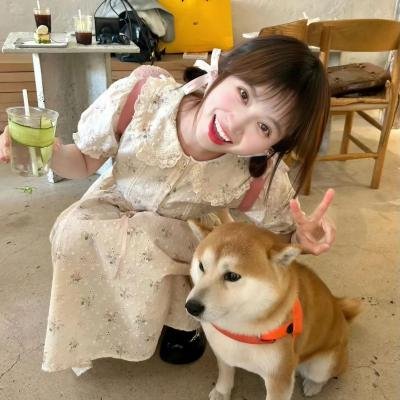 我的小牛与总统